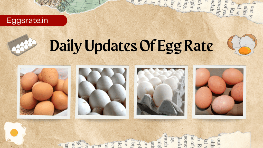 Necc eggs rate