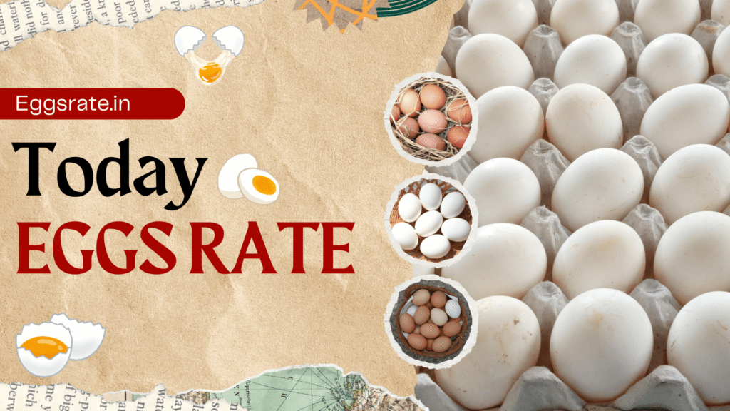eggs rate